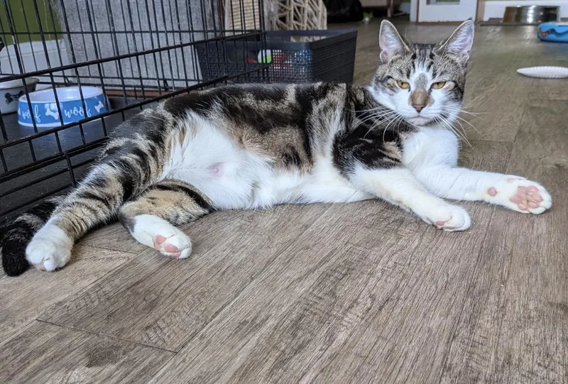 Princess thumbnail 3