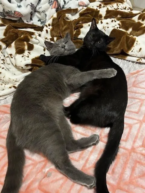 Wednesday thumbnail 2