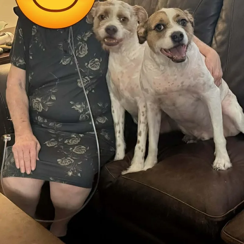 Rock & Roland thumbnail 2