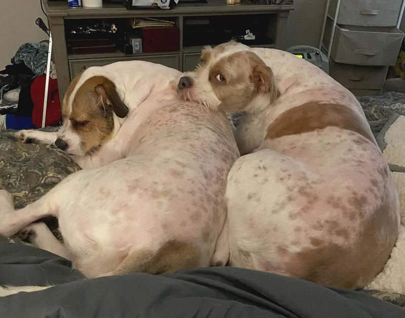 Rock & Roland thumbnail 3