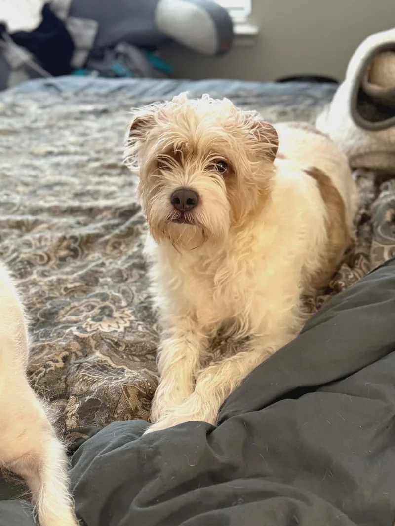 Rock & Roland thumbnail 4