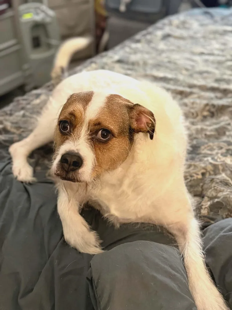 Rock & Roland thumbnail 5