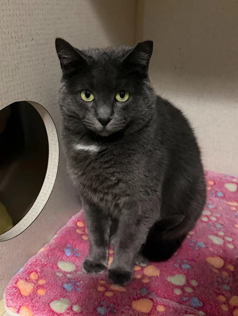 Brooklyn thumbnail 2