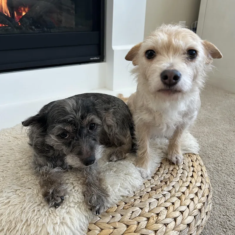 Maggie And Lucy thumbnail 2