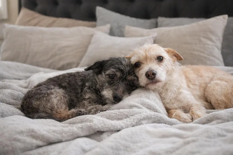 Maggie And Lucy thumbnail 3