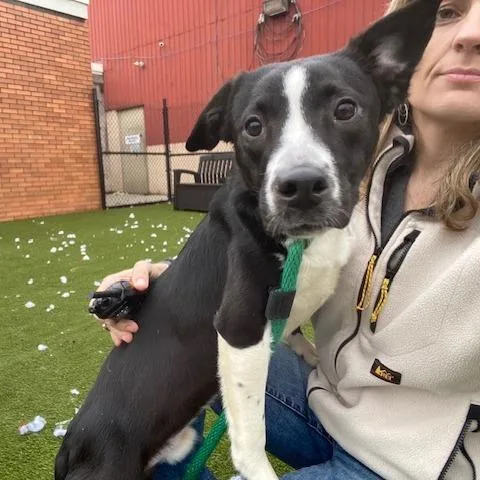 Sebastian thumbnail 4