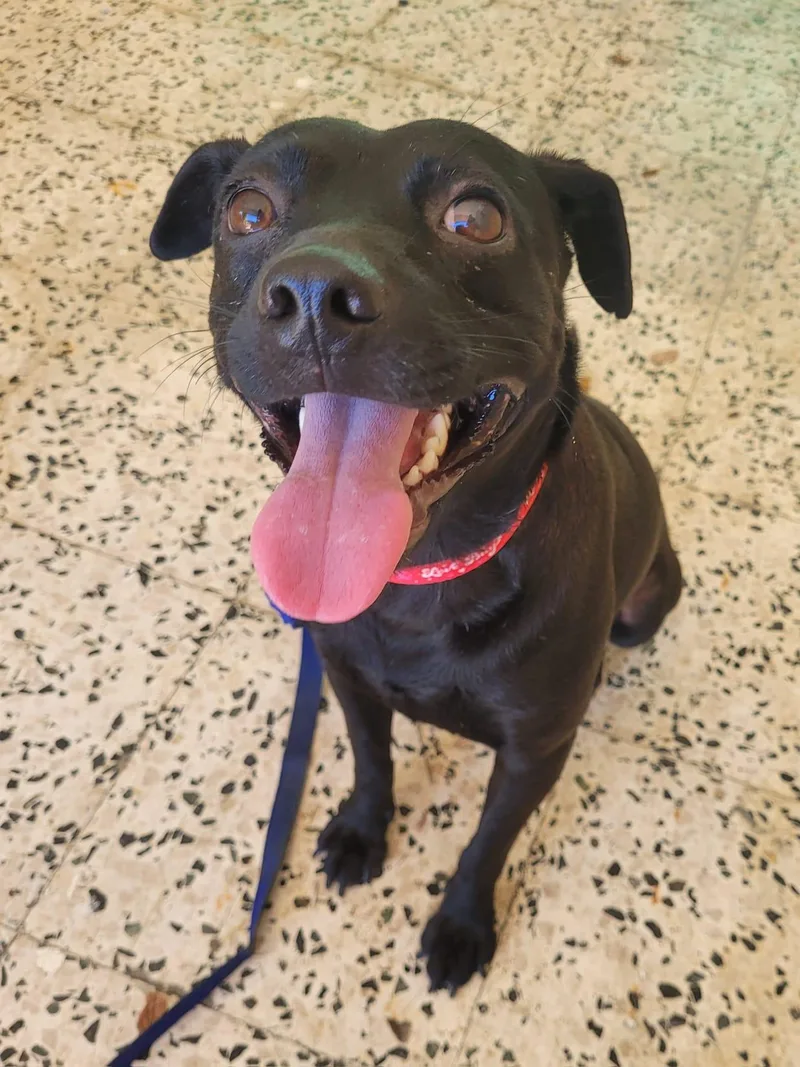 Kiandra & Griffin thumbnail 3