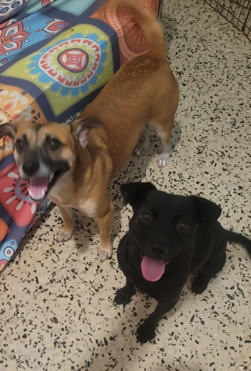 Kiandra & Griffin thumbnail 4