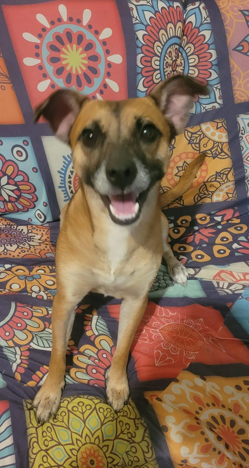 Kiandra & Griffin thumbnail 6