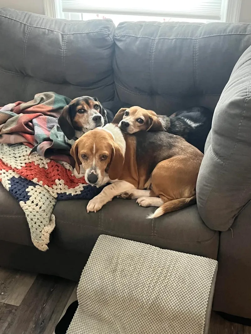 Matilde Caroline thumbnail 4