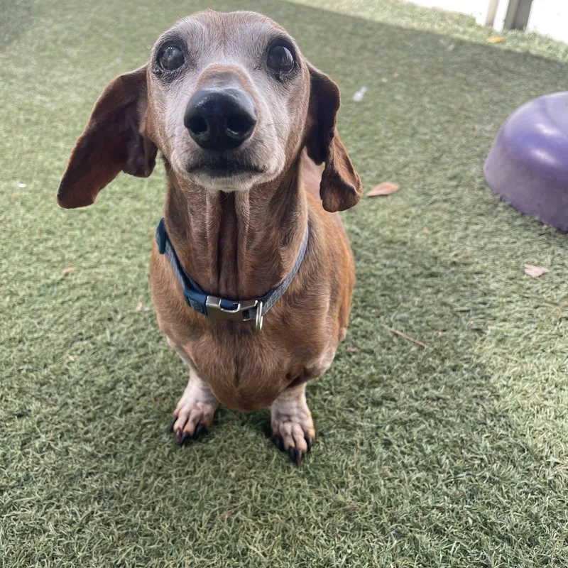 Franklin thumbnail 2