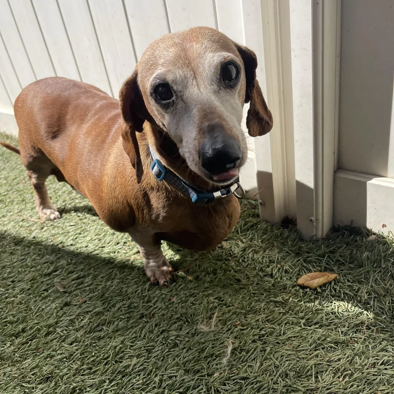 Franklin thumbnail 3