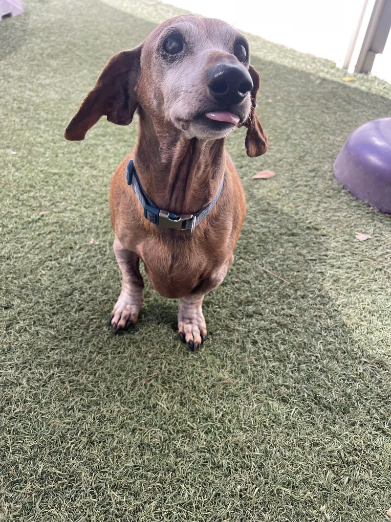 Franklin thumbnail 4