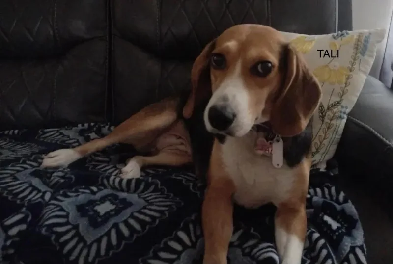 Tali Haven thumbnail 3