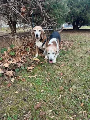 Evan St. Mary's thumbnail 2