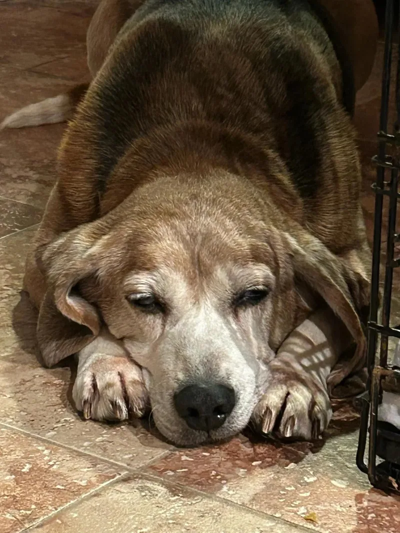 Evan St. Mary's thumbnail 3