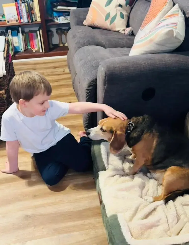 Buddy Lee Haven thumbnail 3