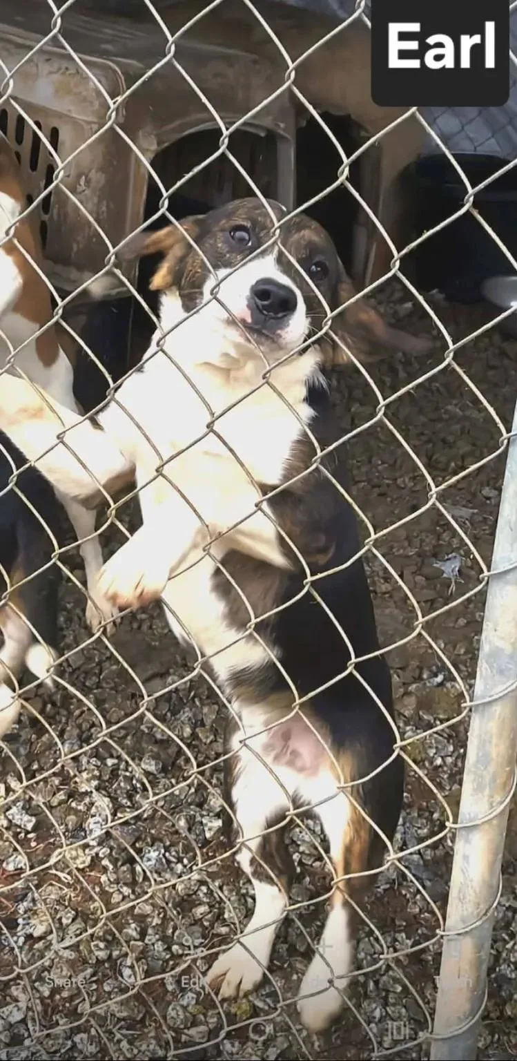 Lucinda Haven thumbnail 2