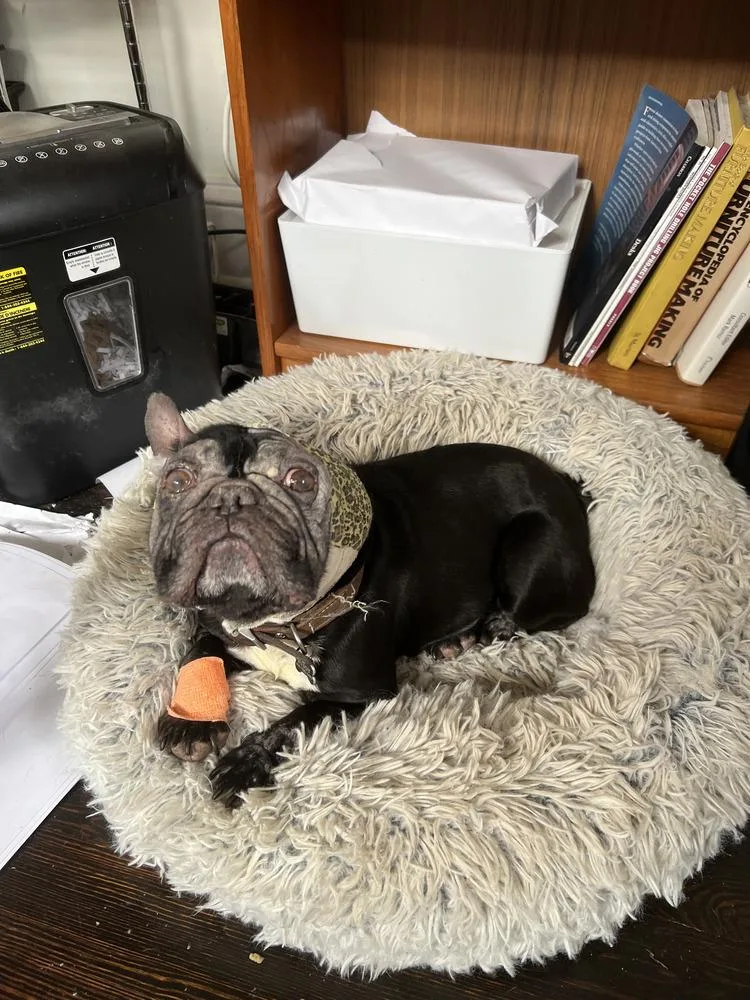 Jewel Gibson  Atlanta