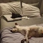 Kaleena And Yuka thumbnail 2