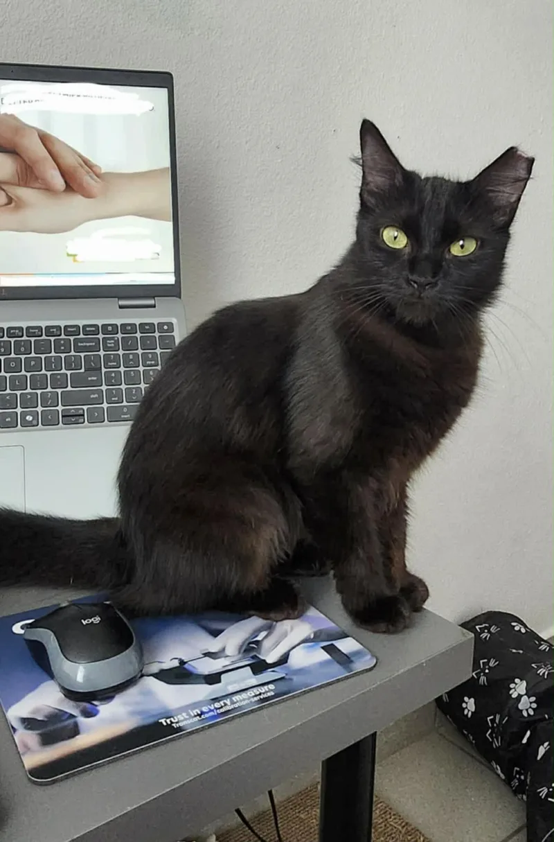 Kaleena And Yuka thumbnail 3