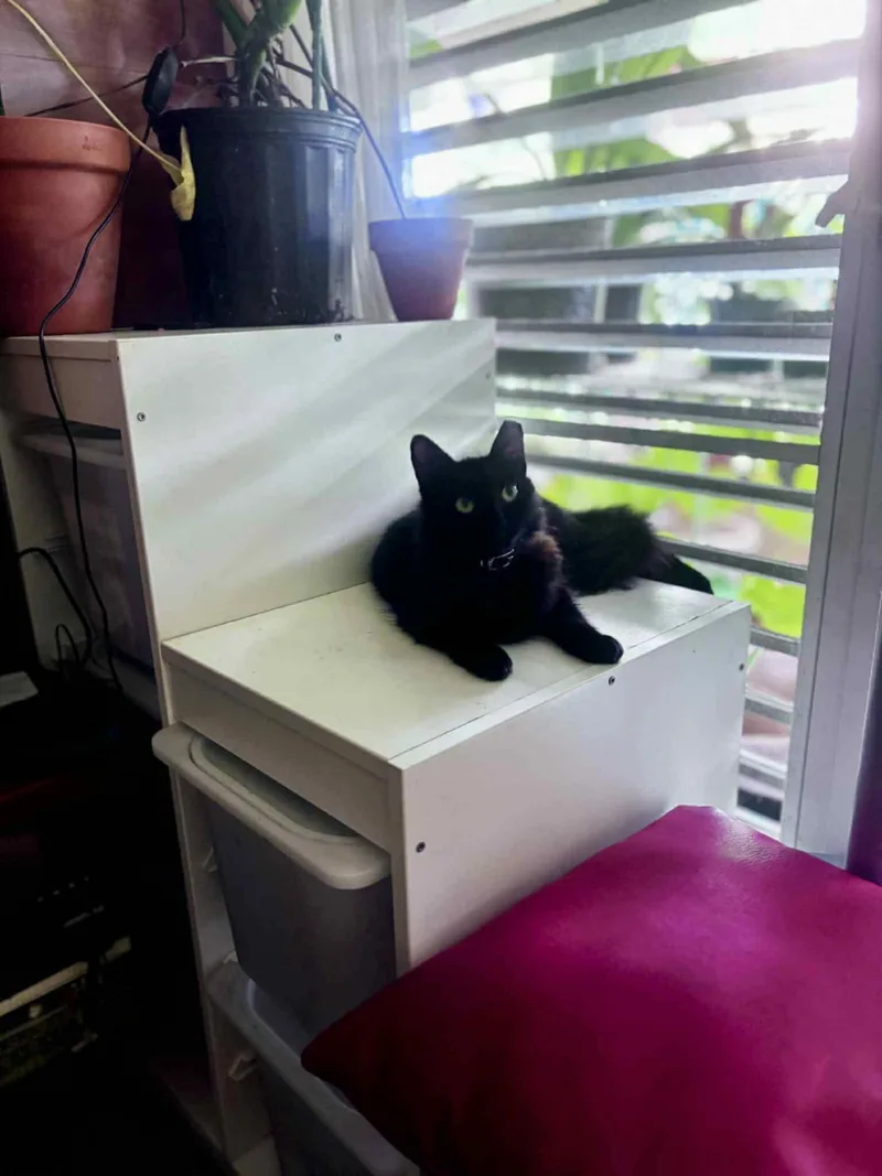 Kaleena And Yuka thumbnail 4