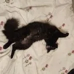 Kaleena And Yuka thumbnail 5