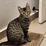 Kaleena And Yuka thumbnail 6