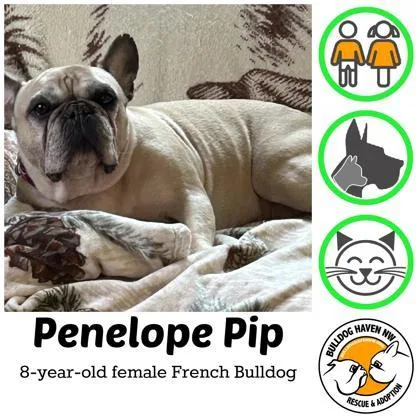 Penelope Pip