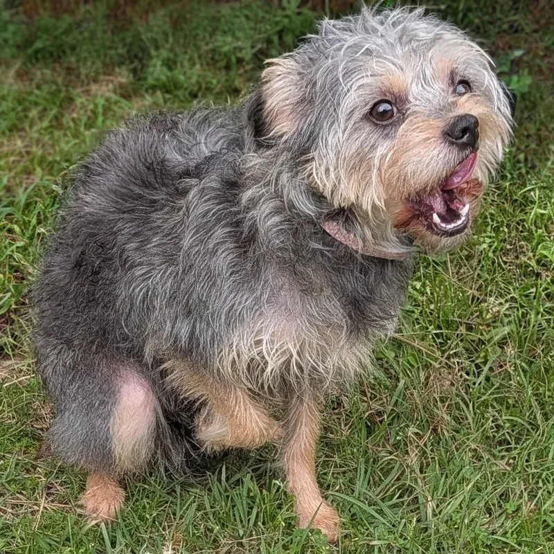 Belle Love thumbnail 2