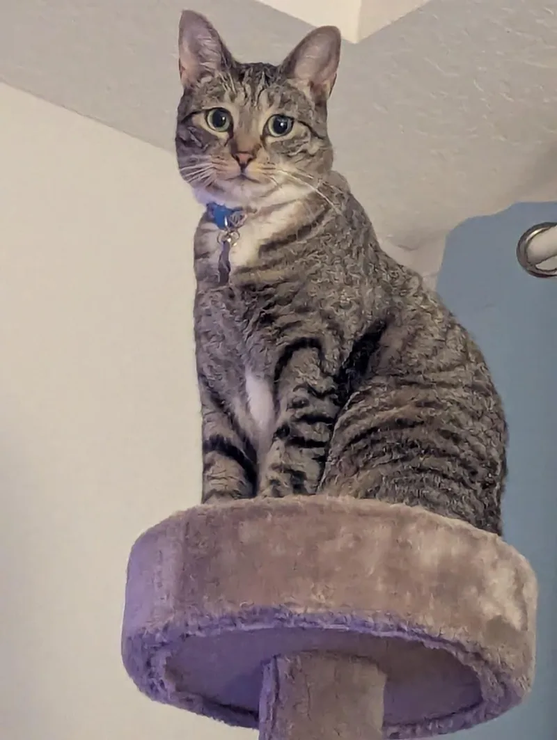 Nini & Whiskey .. thumbnail 2