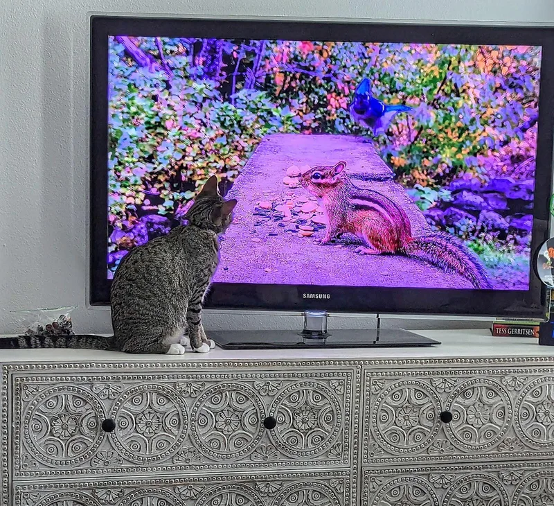 Nini & Whiskey .. thumbnail 3