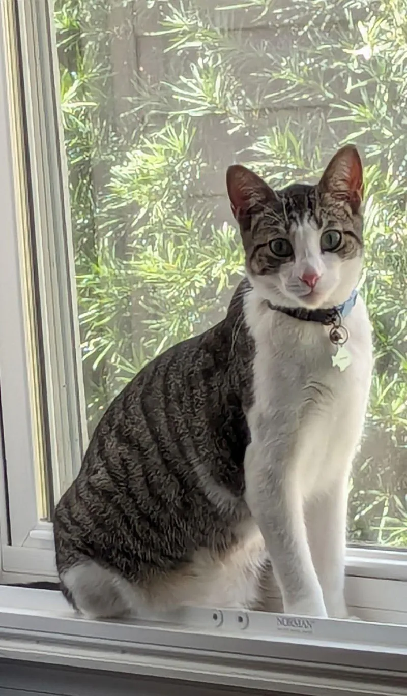 Whiskey & Nini .. thumbnail 2