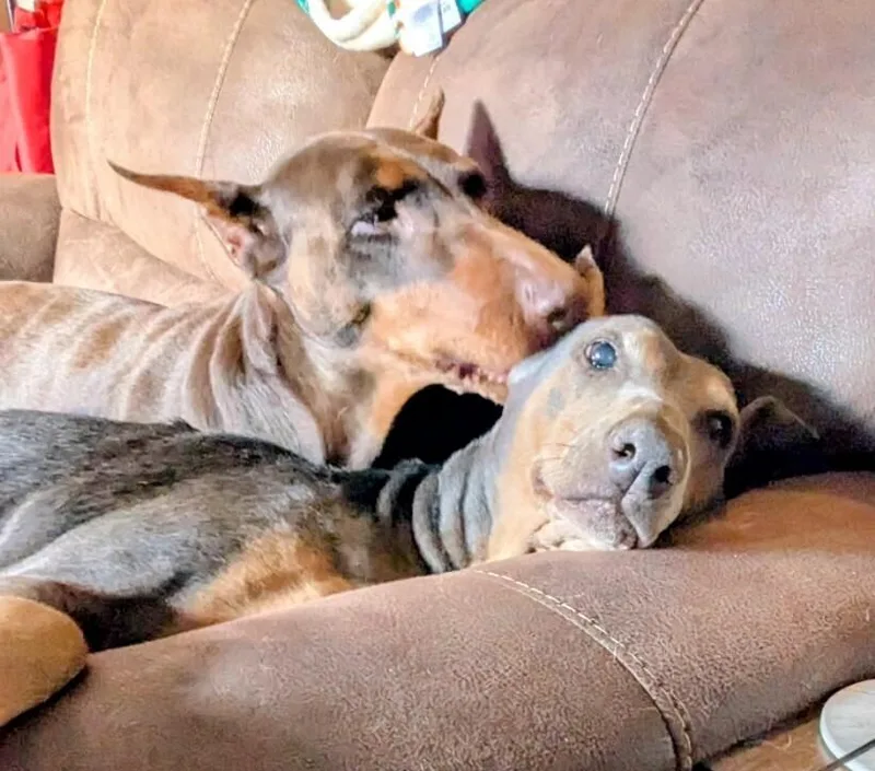 Sida Bay thumbnail 2