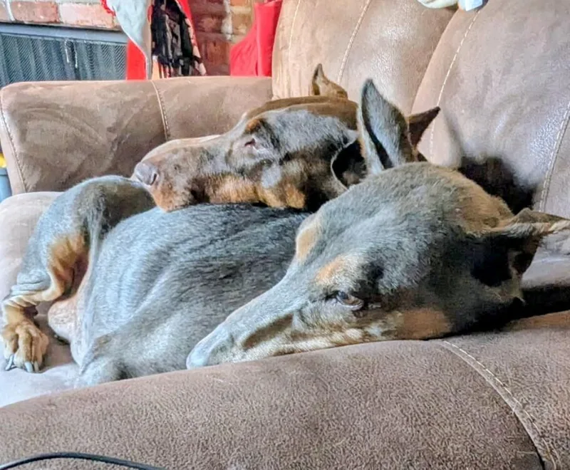 Sida Bay thumbnail 3