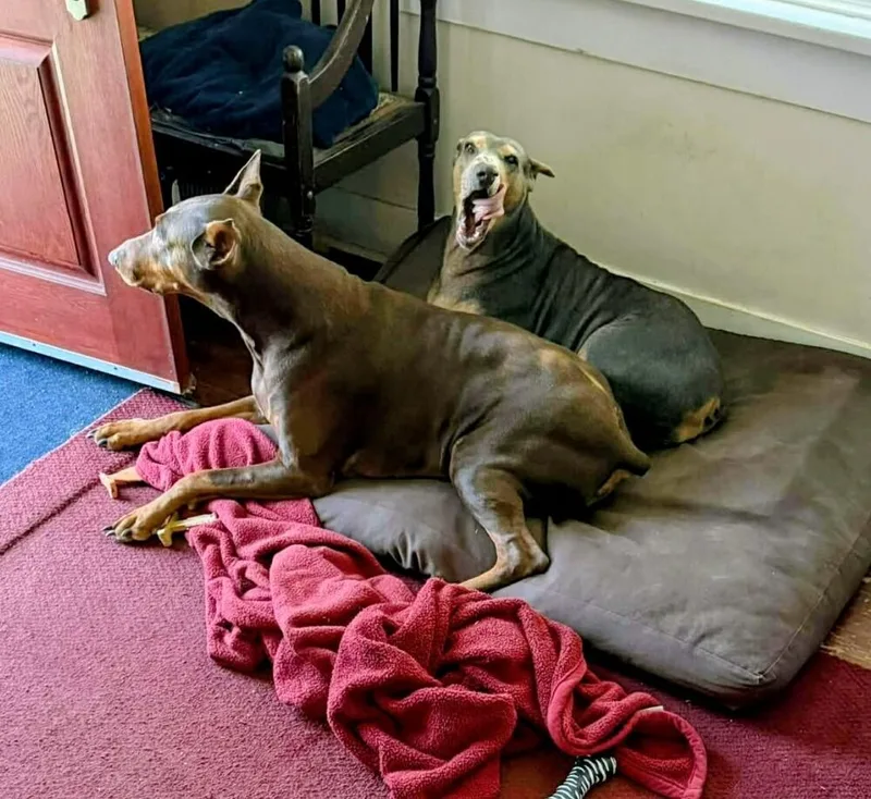 Sida Bay thumbnail 4