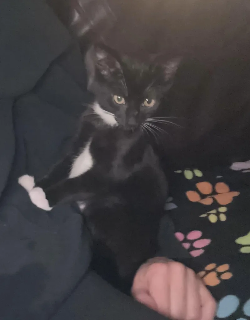 Molly Jones thumbnail 2