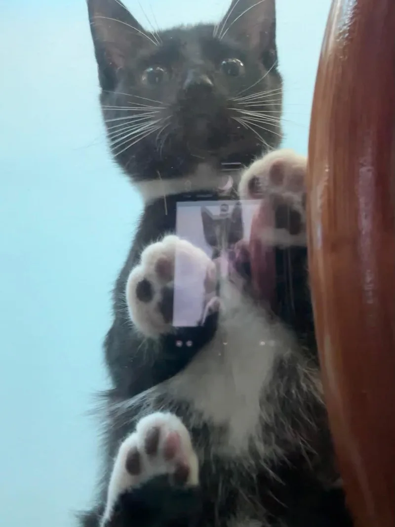 Molly Jones thumbnail 3