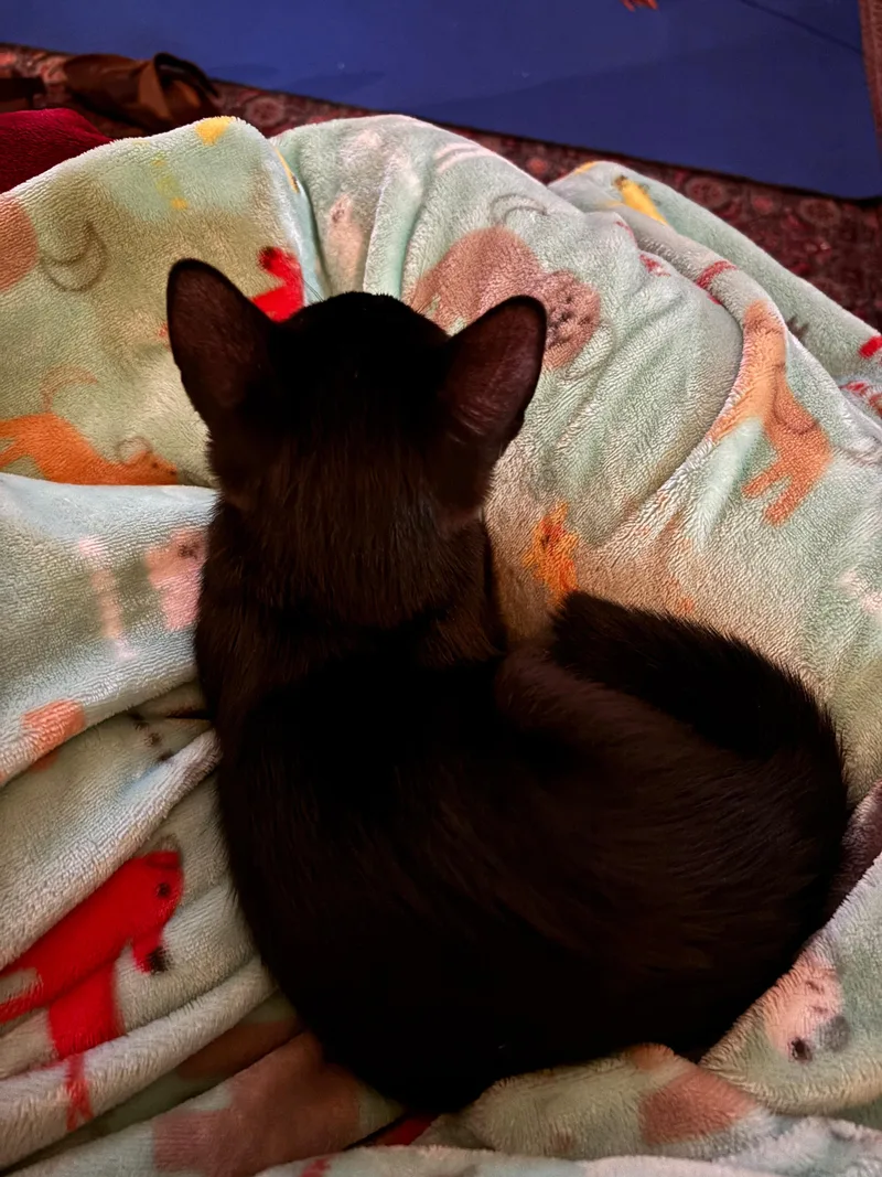 Molly Jones thumbnail 5