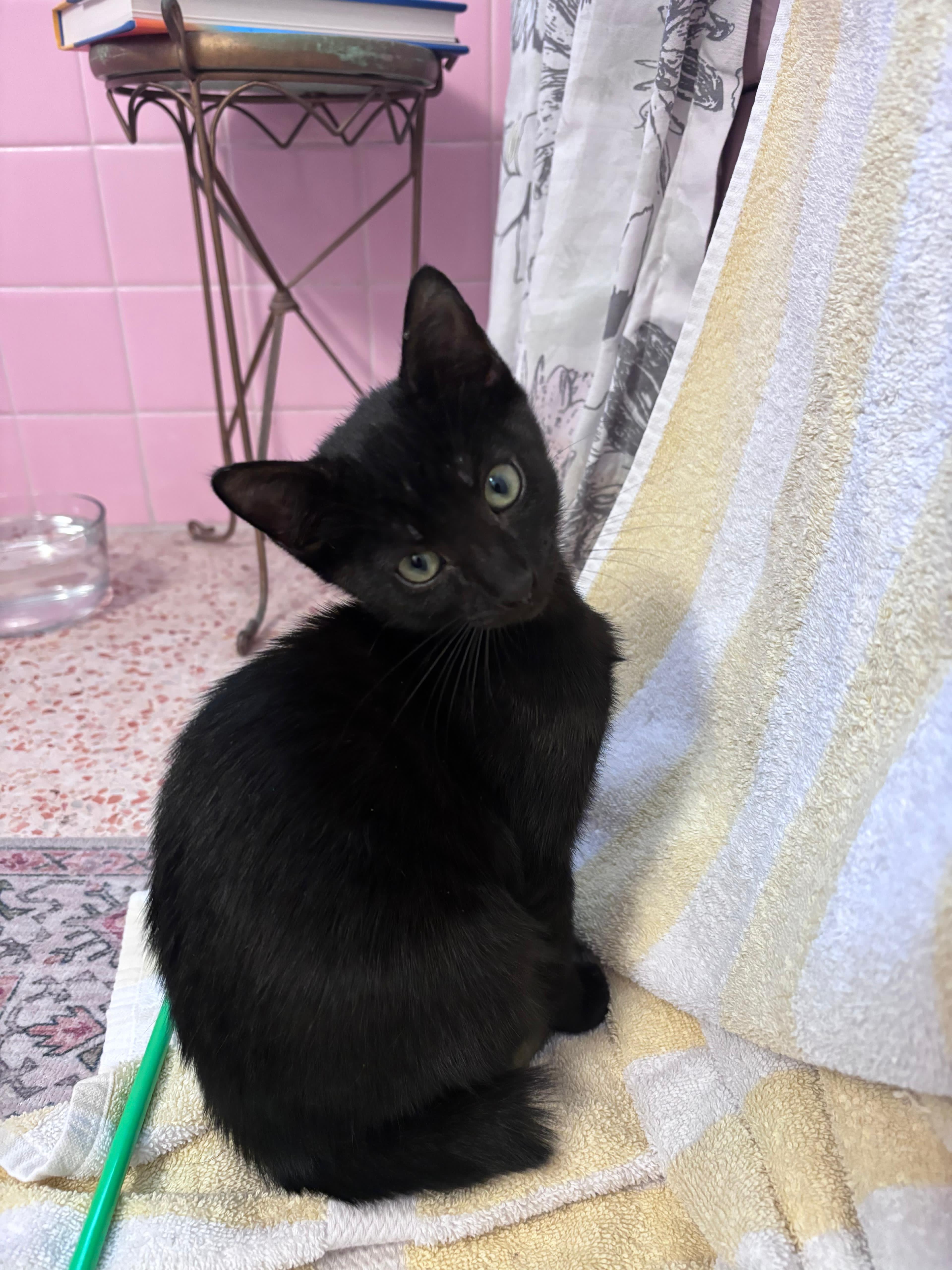 Desmond Jones thumbnail 2