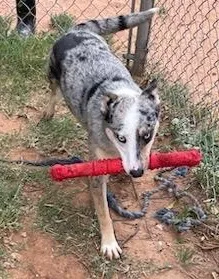 Patience thumbnail 2