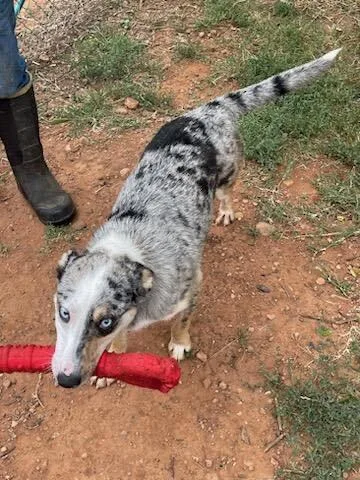 Patience thumbnail 4