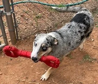 Patience thumbnail 5