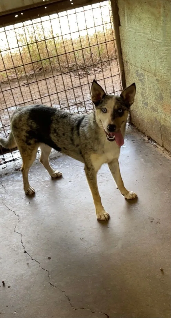 Patience thumbnail 6