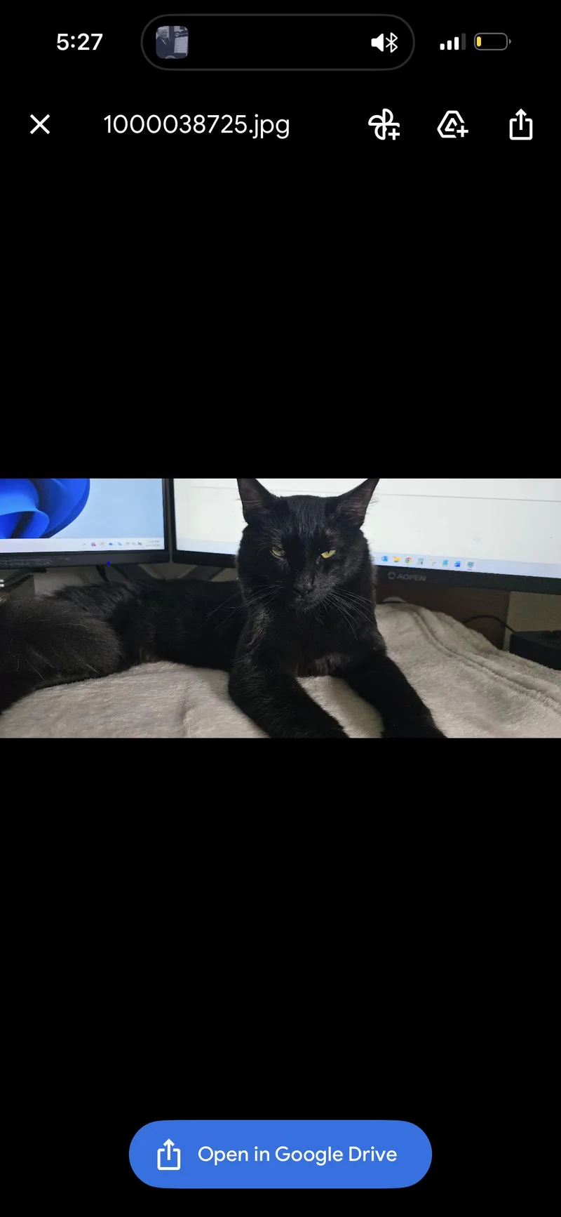 Binx thumbnail 2