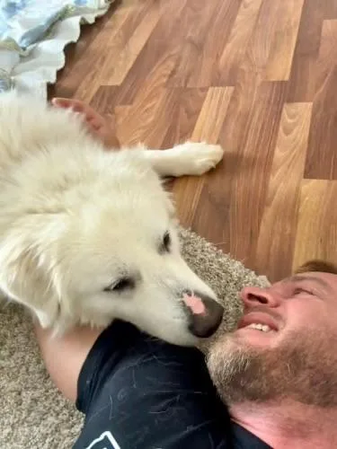 Snowball thumbnail 2