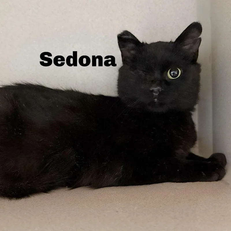 Sedona