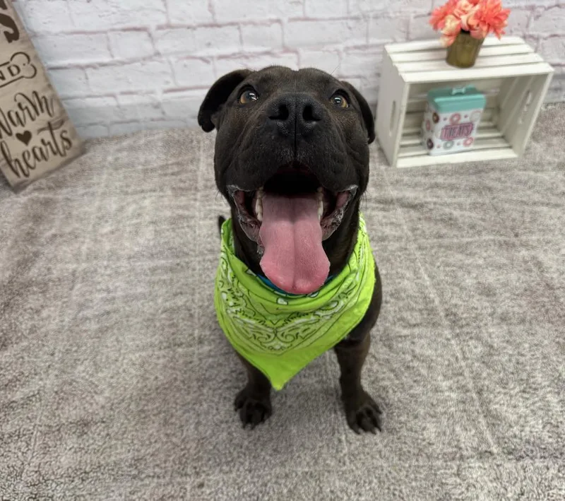 Northern Sky thumbnail 2