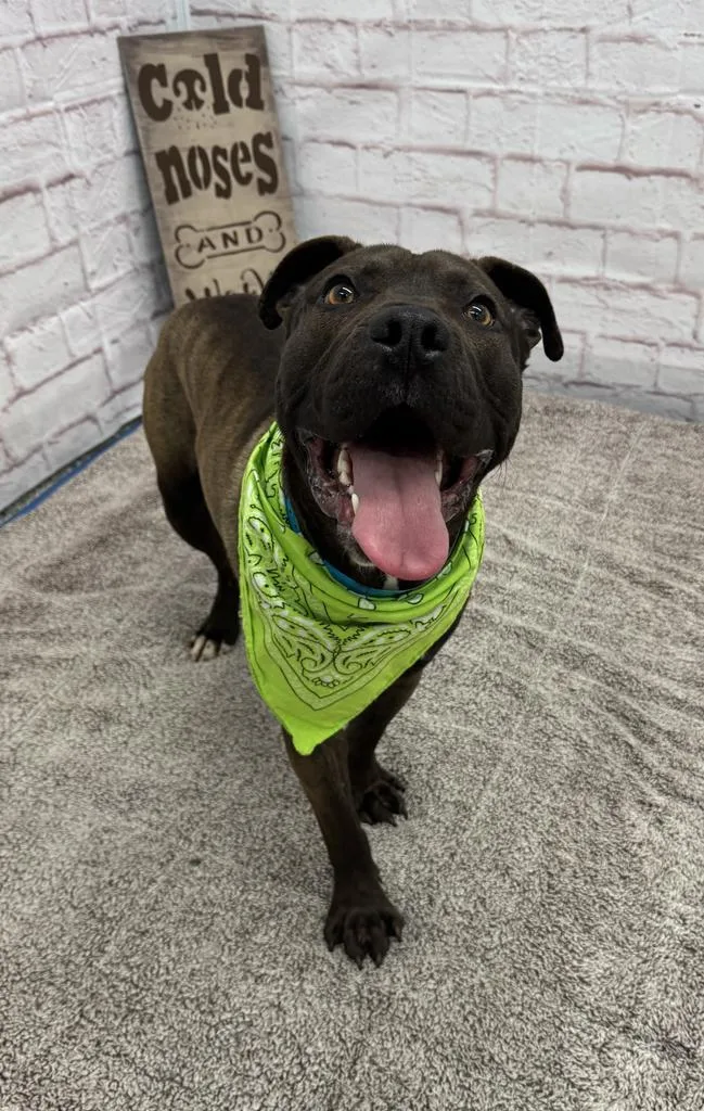 Northern Sky thumbnail 5