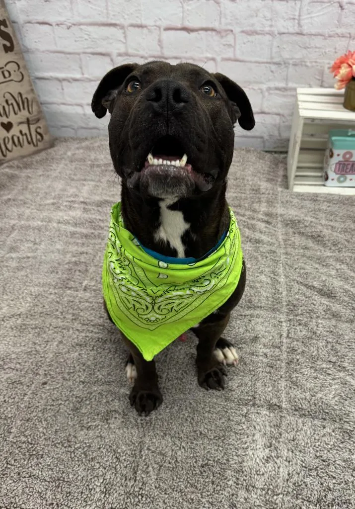 Northern Sky thumbnail 6